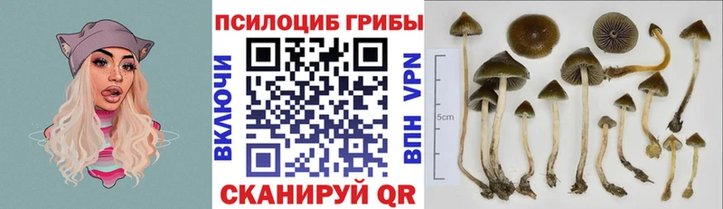 Галлюциногенные грибы Magic Shrooms  Цивильск 